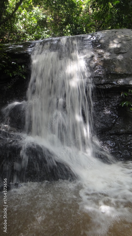 Obraz premium A tranquil waterfall cascades down dark, rugged rocks in a sun-dappled forest, creating a serene natural scene DSC03990