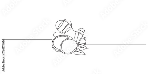 Continuous Line Drawing of Ginger Root,Ginger Food Fresh Cooking one line art vector illustration,Continuous Line Art of Ginger Root and Leaves