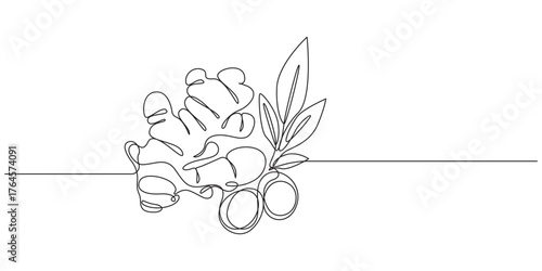 Continuous Line Drawing of Ginger Root,Ginger Food Fresh Cooking one line art vector illustration,Continuous Line Art of Ginger Root and Leaves