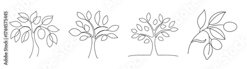 Stylized line art of plum trees with branches buds and leaves in outline form
