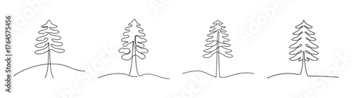 Four detailed pencil sketches of redwood trees showing varying bark texture and foliage detail