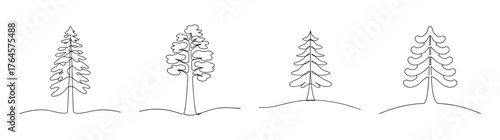 Four distinct line art drawings of majestic sequoia trees presented in a horizontal row with intricate detail