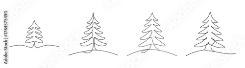 Four detailed line art spruce trees with branches showcasing natural form and texture