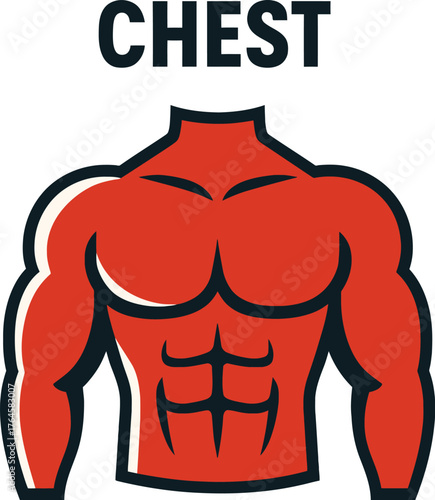 Muscular Male Chest Torso Vector Icon - Strong Man Bodybuilder Anatomy Illustration for Fitness, Gym, and Workout Training App Design  Adobe Illustrator Artwork