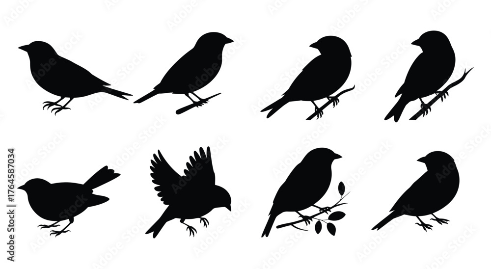 Fototapeta premium Collection of eight diverse bird silhouettes in various poses and perches