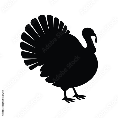 Silhouette of a thanksgiving turkey with its tail feathers fanned out against a white background