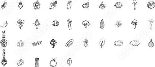 Vegetable icons line set. Organic food garlic, onion, chili, beetroot, cucumber and more. Vector fully editable.