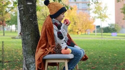 Adorable little child, boy in park on autumn day, beautiful sunny day, basket with apples, kid eating fruit