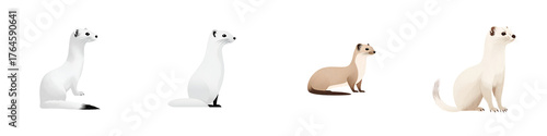 Stoat and Ermine Illustration Set on White Background
