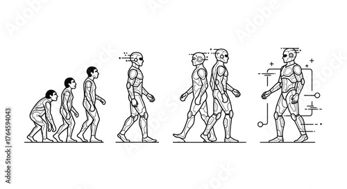 Human evolution stages depicting biological progression from primate ancestors to modern human form vector