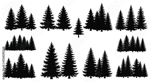 Silhouetted Evergreen Trees A Collection of Nature's Forest Giants