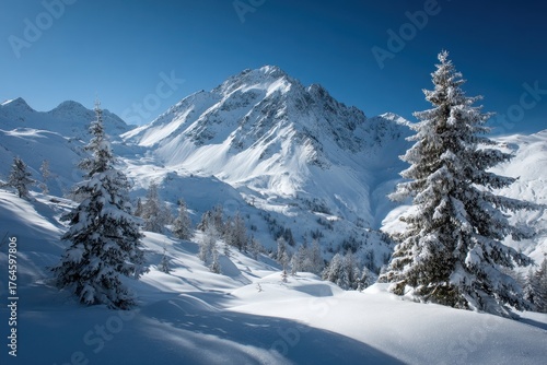 Winter Wonderland at La Plagne: Snow-Covered Mountains Surrounded by Pine and Fir Trees under a Blue Sky