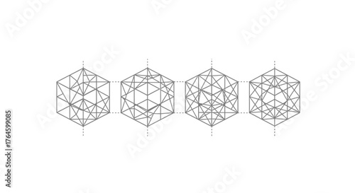 Intricate geometric hexagonal structures and network patterns scientific and abstract design elements vector