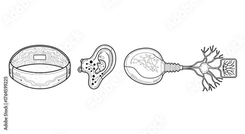 Vintage whisk illustration showing different types of kitchen utensils for baking and cooking preparation vector