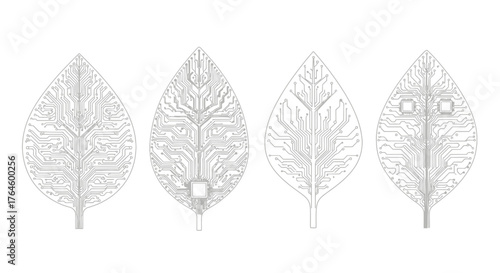 Detailed botanical study of four distinct leaf vein patterns and damage vector