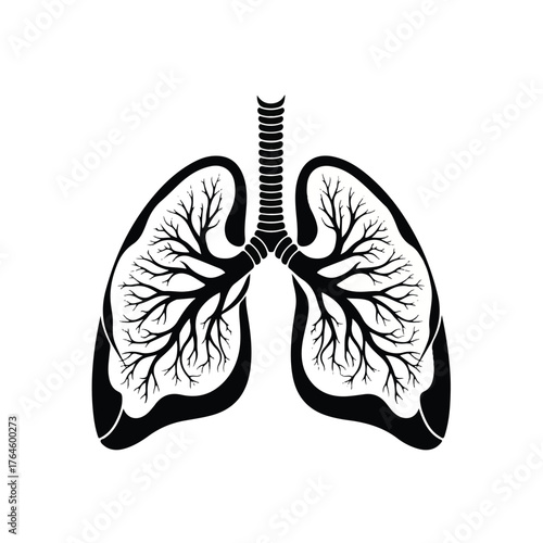 Vector illustration of the human respiratory system, focusing on lungs, bronchi, and trachea anatomy, ideal for medical, educational, and health awareness content