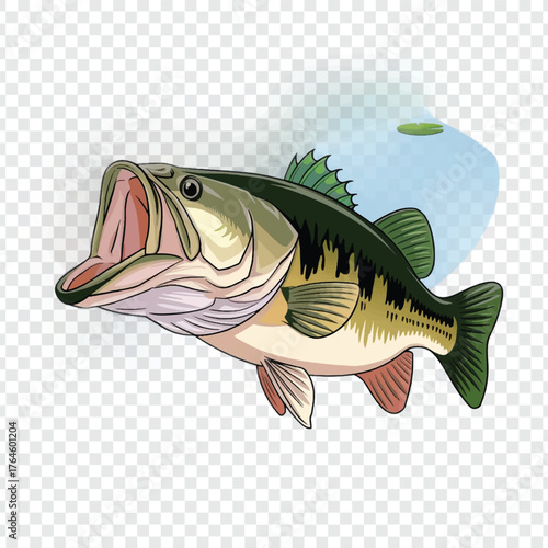 Largemouth bass fish illustration with mouth open, ready to strike at prey