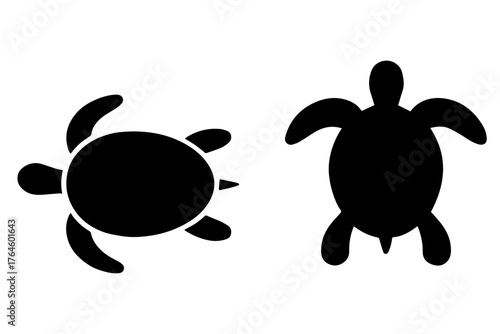 silhouette of two turtles, top and side views 