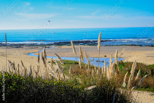 Peaceful beach in Portugal with sea view and wild coastal nature 