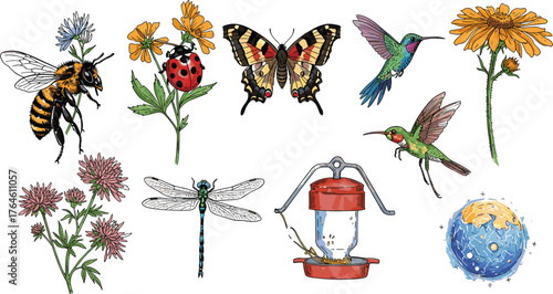 Pollinators, bee, butterfly, hummingbird, ladybug, dragonfly, flowers, globe, nature, biodiversity, ecology, environment, conservation, wildlife, insects, birds, floral, Earth, garden, illustration