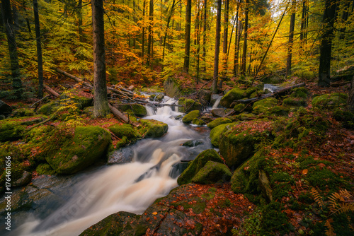 Fantasy and dark autumn forest with the best mystic atmosphere in the north of Bohemia, in Jizera mountains. like a fairy tale with pure water rivers and magic waterfalls.