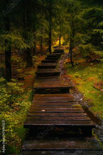 Wooden path in fantasy and dark autumn forest with the best mystic atmosphere in the north of Bohemia, in Jizera mountains. Like a path to fairy tale.