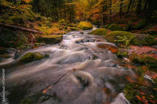 Fantasy and dark autumn forest with the best mystic atmosphere in the north of Bohemia, in Jizera mountains. like a fairy tale with pure water rivers and magic waterfalls.