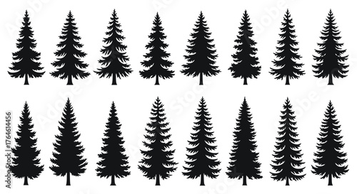 Collection of Silhouettes of Evergreen Trees for Nature and Forest Design Elements