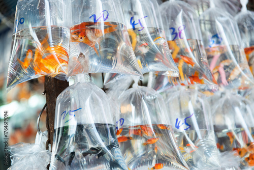 Fototapeta Naklejka Na Ścianę i Meble -  Goldfishes inside plastic bags for sale in Hong Kong