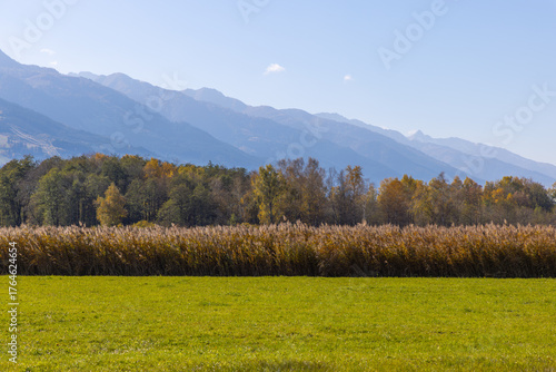 Herbstimpressionen, Landschaftspanorama, Lärchen, Indian Summer, bunt, Pinzgau, Großglocknerstrasse