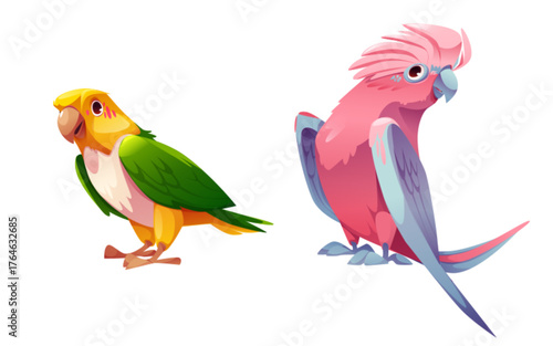 Two Cute Colorful Parrots Cartoon Vector Illustration