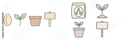 Different stages of plant growth illustrated with seeds, seedlings, and pots for gardening enthusiasts and beginners