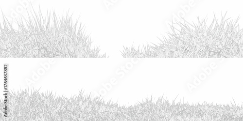 grass vector illustration. banner, overlay. Vector isolated on white background. real grass silhouette / vector / objects are separated.