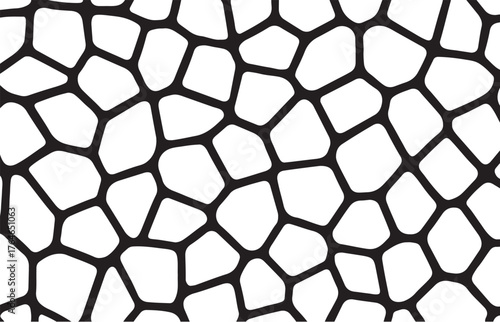Abstract black and white polygonal network pattern with irregular cell shapes