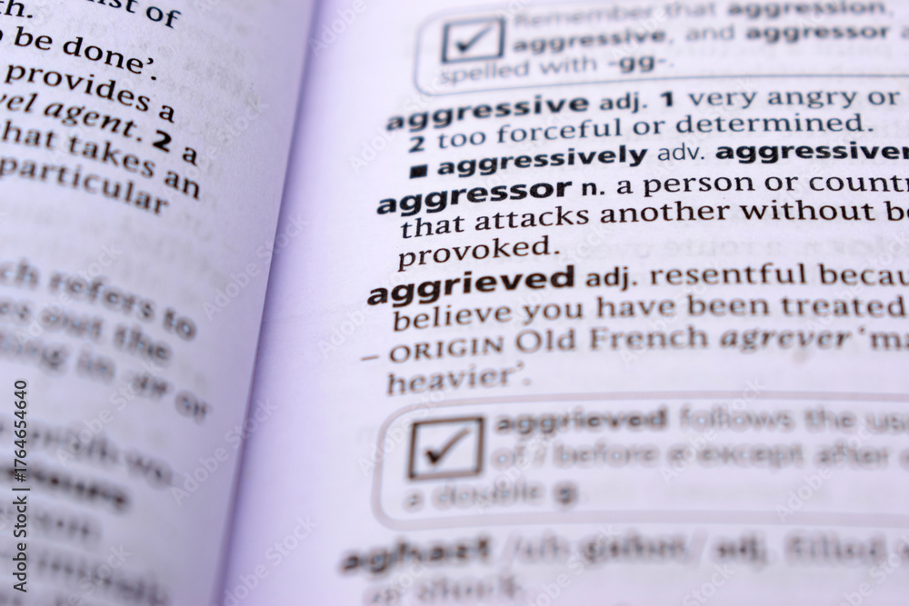 Fototapeta premium Close Up Of English Dictionary Page With Word - Aggressor