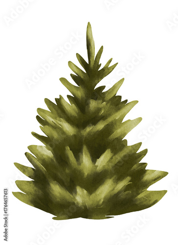 Photography Watercolor fluffy Christmas tree clipart, hand painted bushy pine tree illustrat