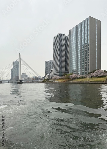 View of the city of Tokyo, Japan.
Tokyo Harbour Bridge 