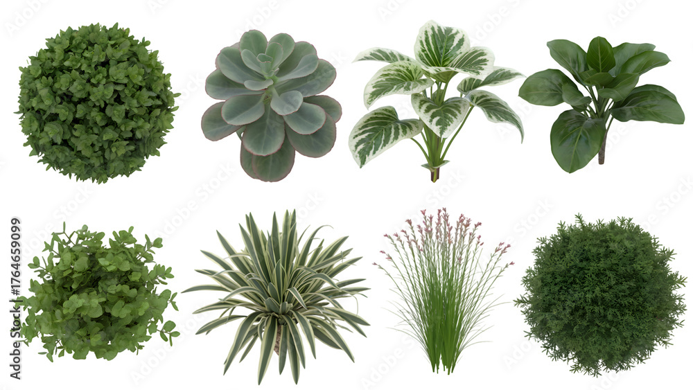 Naklejka premium various lush green plants in different shape . Isolated on transparent background, png