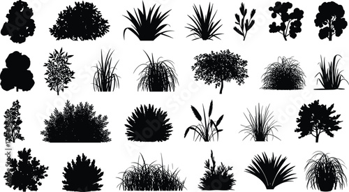 Plant and shrub silhouette vector set featuring diverse botanical shapes for garden design, landscaping, nature illustration, and decorative use.