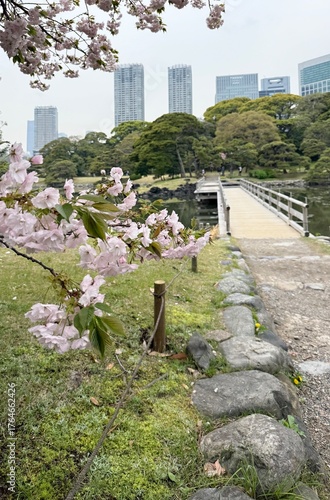 View of a city park with skyscrapers in the background in Tokyo, Japan