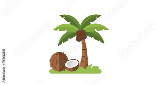 A coconut palm tree with coconuts growing on it and two coconuts laying on grass