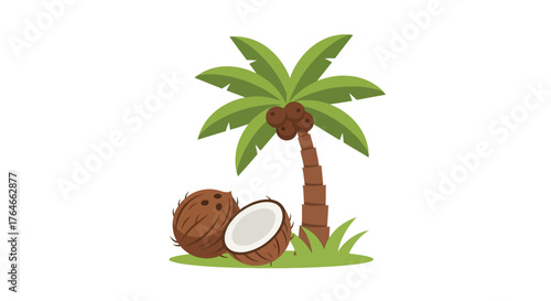 A coconut tree with coconuts one is split open on a patch of grass