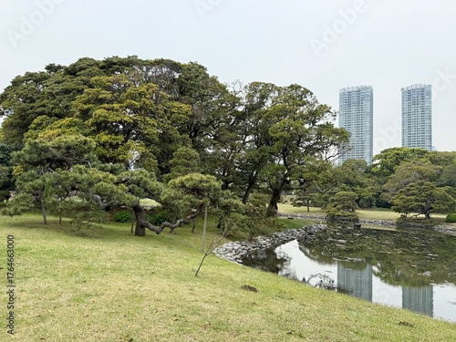 
View of a city park with skyscrapers in the background in Tokyo, Japan
