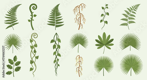 A collection of plant and vine illustrations showcasing various fern fronds palm fronds and winding vines