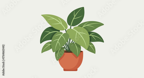 A potted plant with large broad green leaves veined with lighter green on a light neutral background