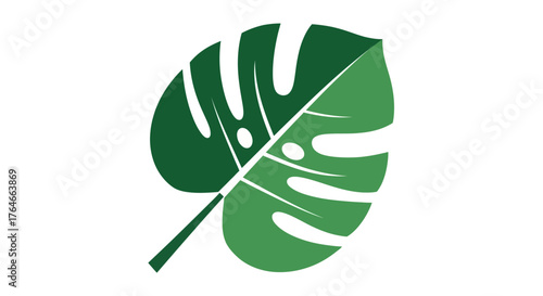 A stylized split green monstera leaf with holes