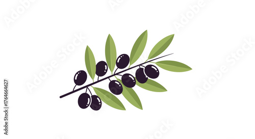 An olive branch features glossy black olives amidst elongated green leaves on a thin dark stem