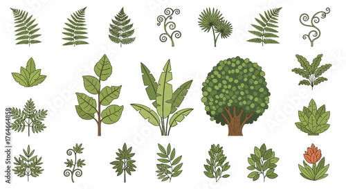 Assorted botanical drawings feature various plant species like ferns leafy branches  a tree set against a white background