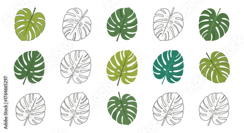 Assorted Monstera leaf illustrations some colored some outlines arranged in a neat grid on a white background