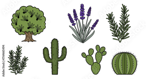 Botanical illustration of seven plants in a simplistic cartoonish style